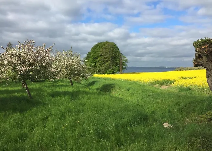 Am Goor بوتبوس